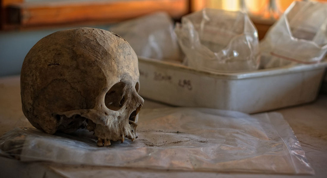 Çatalhöyük Human Remains Laboratory. Credit: Scott D. Haddow